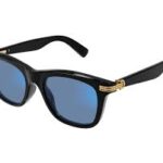 Style and Function: Exploring the Features of Chloe and Carrera Sunglasses